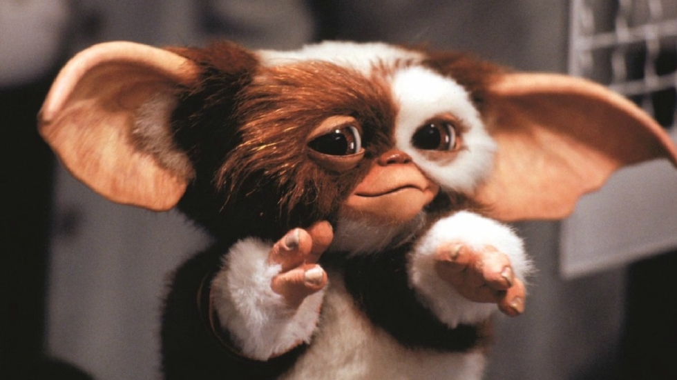 Heb geduld, we moeten de hoop op 'Gremlins 3' nog steeds niet opgeven