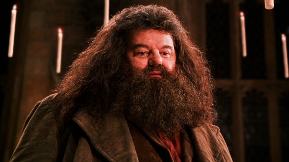 'Harry Potter'-fantheorie: Hagrid moest klein blijven omdat hij een grote vijand van Voldemort kon worden