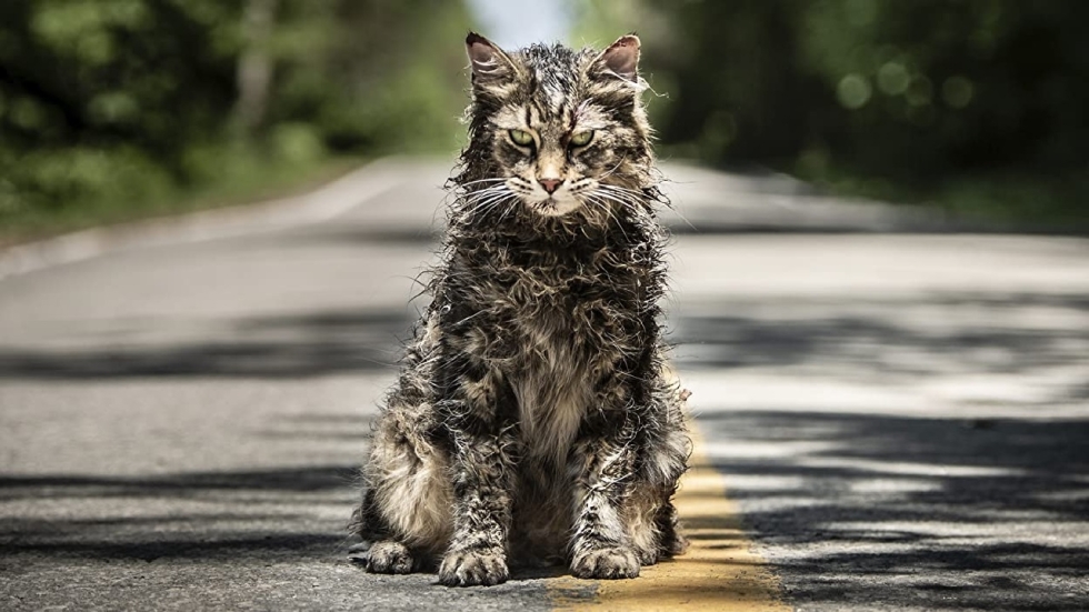 Stephen King vindt deze verfilming helemaal niet goed