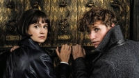 'Fantastic Beasts'-fans zijn boos op Warner Bros.