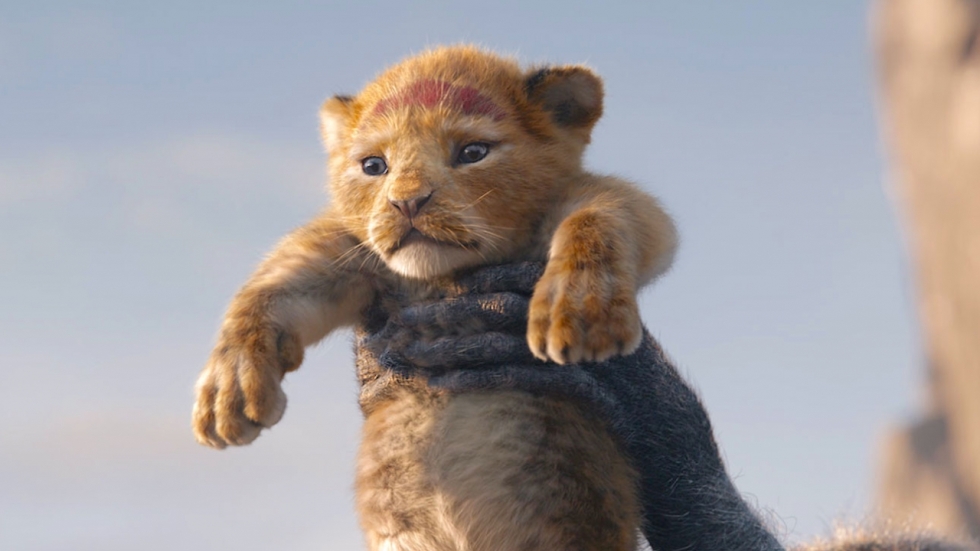 Dit is wanneer 'The Lion King' op Disney+ verschijnt!