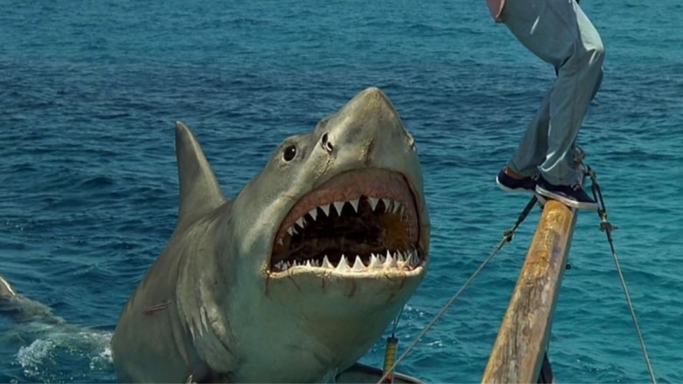 Het eerste concept van 'Jaws: The Revenge' combineerde 'The Meg' met 'Point Break'