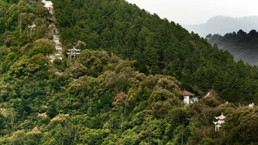 Dwelling in the Fuchun Mountains