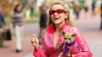 Hilarische Jennifer Coolidge keert terug in Legally Blonde 3