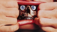 Dit is de bloederigste horrorfilm die ooit gemaakt is