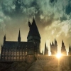 'Fantastic Beasts'-filmreeks definitief van de baan laat regisseur David Yates doorschemeren