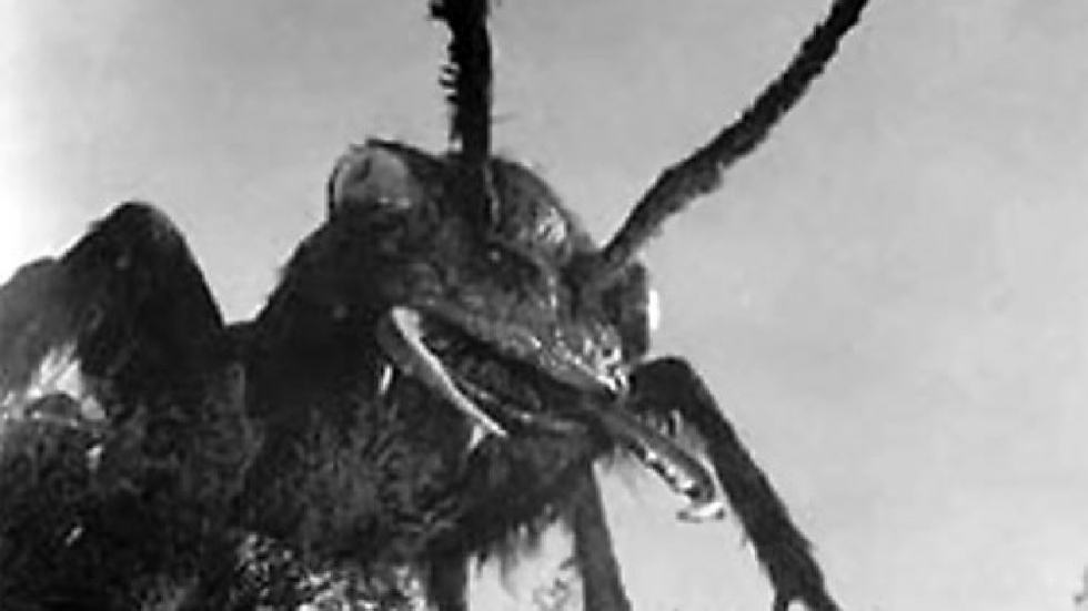 Eén van de beste filmcomponisten maakt reboot van scifi-horror over mensenetende mieren