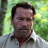 Arnold Schwarzenegger rijdt fietser het ziekenhuis in