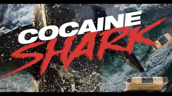 Vergeet 'Cocaine Bear' hier is de 'Cocaine Shark' trailer