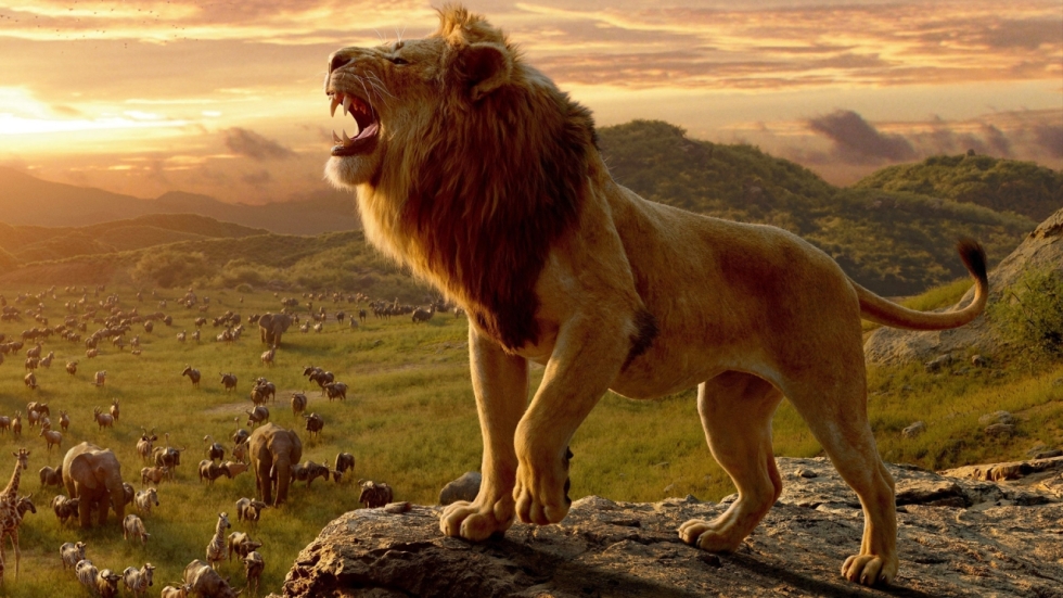 De 'Lion King'-spinoff van Disney en 'Moonlight'-regisseur is al klaar