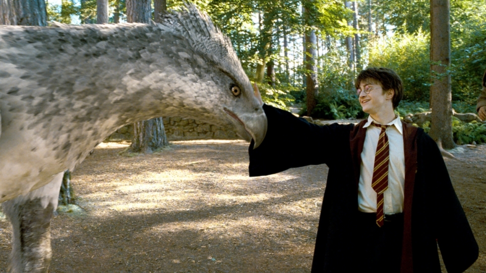 Altijd al een Harry Potter-dier willen hebben? Je droom kan nu werkelijkheid worden