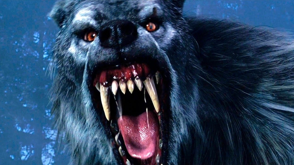 Merkwaardig: Netflix maakt een film over het populaire kaartspel 'Weerwolf'