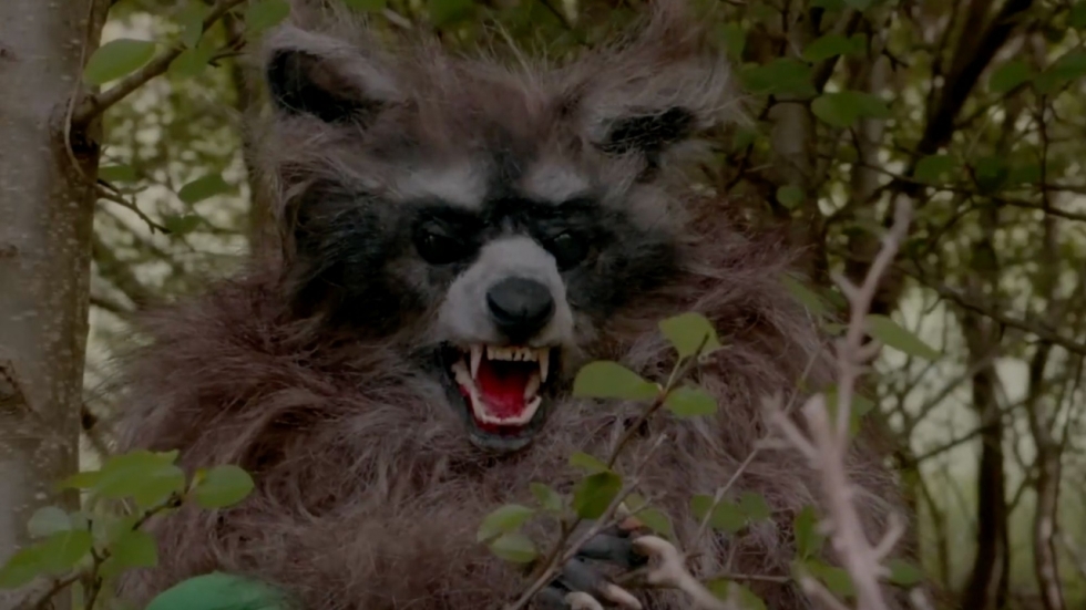 Rocket draait volledig door in absurde 'Crackcoon'-trailer