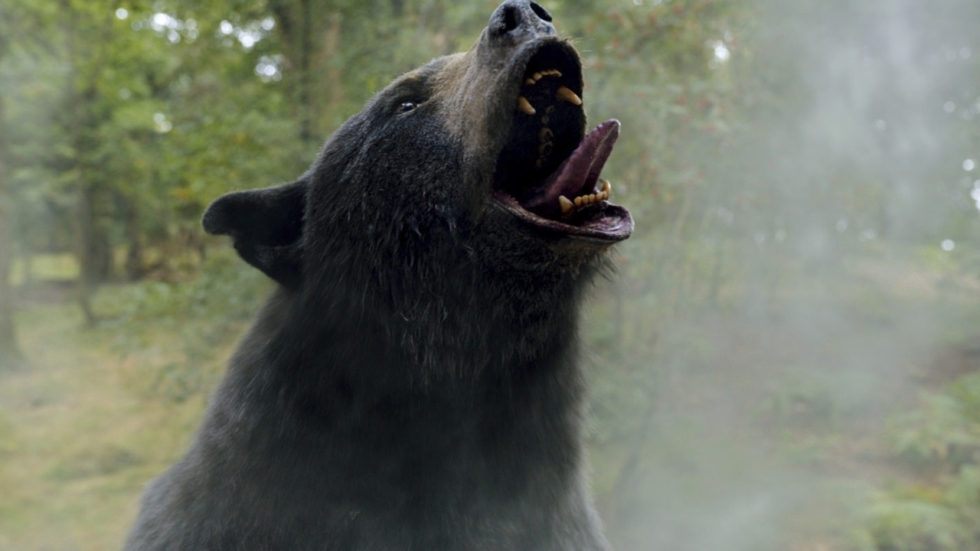 Keert de cokesnuivende beer uit 'Cocaine Bear' snel terug?