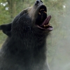 Nu te streamen: de bizarre thriller-komedie 'Cocaine Bear'