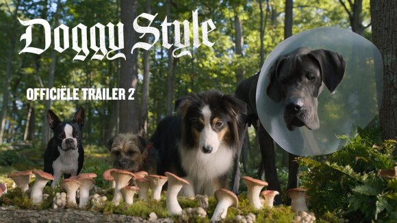 Hondsbrutale film 'Strays' krijgt stevige trailer