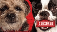 Eerste recensies 'Doggy Style': de volgende grote zomerhit in de bioscopen?