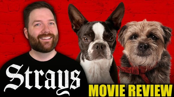 Chris Stuckmann - Strays - movie review