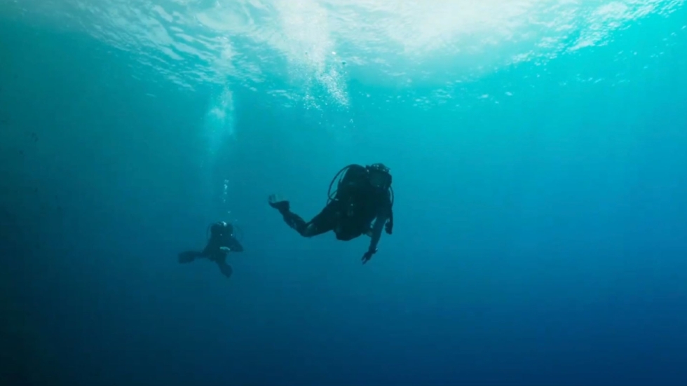 IJzingwekkende diepte in trailer 'The Dive': voor de fans van 'Fall'