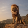"Eén van de beste beslissingen van mijn leven": Barry Jenkins vertelt over 'Mufasa: The Lion King'