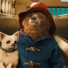 De beste film van Hugh Grant is 'Paddington 2', en zijn slechtste heet...