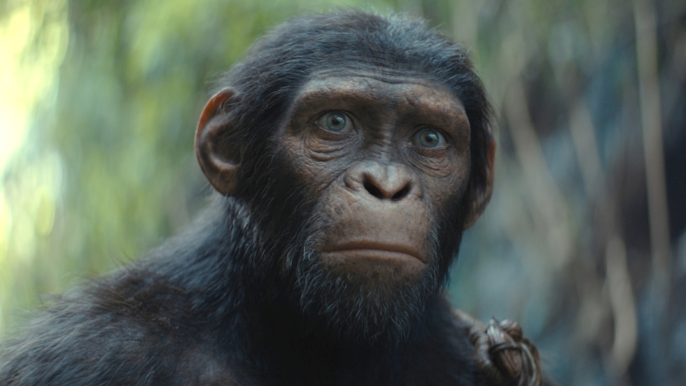 'Kingdom of the Planet of the Apes' neemt verrassende wending en onthult vervangers van Caesar