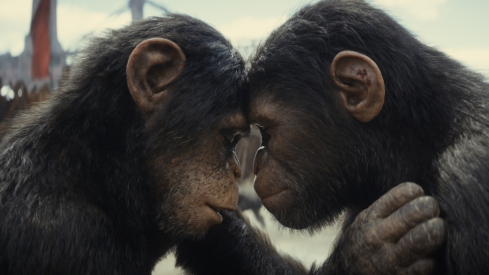'Kingdom of the Planet of the Apes' neemt maatregelen uit angst voor 'Furiosa'