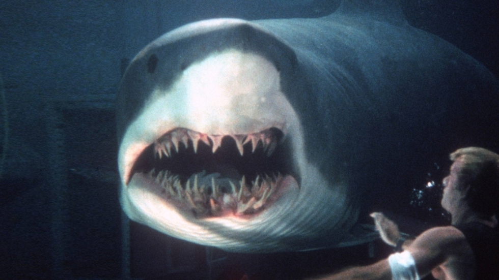 Trailer 'Into the Deep': Richard Dreyfuss gaat 49 jaar na 'Jaws' weer naar de haaien