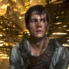 Netflix pakt uit met hele gave scifi-reeks 'The Maze Runner'