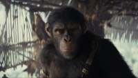 Strijdbare posters 'Kingdom of the Planet of the Apes': Macht, familie en hoop