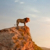 "Eén van de beste beslissingen van mijn leven": Barry Jenkins vertelt over 'Mufasa: The Lion King'