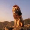 Untitled Lion King Prequel