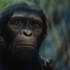 Komt er een vervolg op 'Kingdom of the Planet of the Apes'? Regisseur Wes Ball reageert
