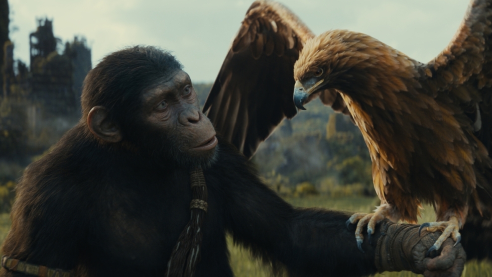 'Kingdom of the Planet of the Apes': alweer een geslaagde film in deze reeks