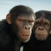 Owen Teague moet weer leren mens te zijn na 'Planet of the Apes': "Ik krab nog steeds zo"