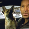 Will Smith verklapt rol van Michael B. Jordan in 'I Am Legend 2'