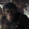 Vervolg op 'Kingdom of the Planet of the Apes' komt er, maar laat nog héél lang op zich wachten