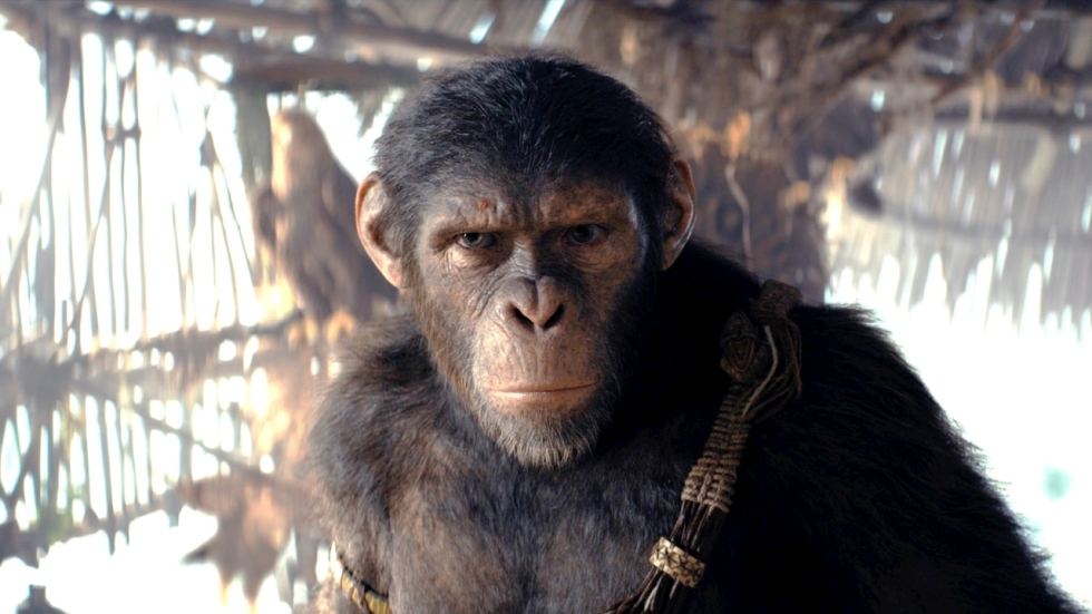 Spoiler! Dit 'Kingdom of the Planet of the Apes'-personage leeft misschien nog