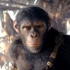 'Planet of the Apes' blijft bioscopen vullen, nieuwste Ryan Reynolds-film pakt #1-positie in Noord-Amerika
